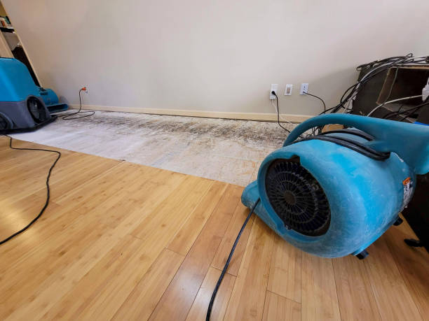 Professional Water Damage Repair technician working in Beaver, PA